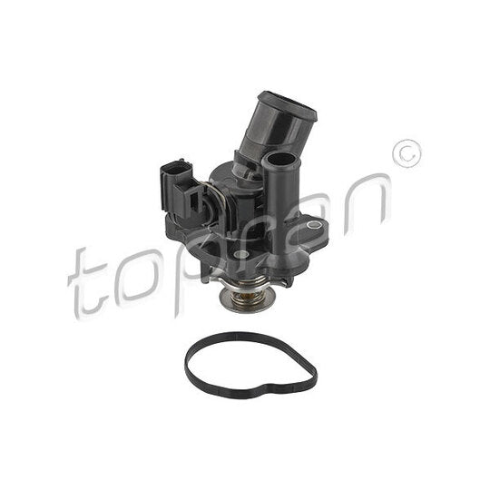 304 162 Thermostat, coolant