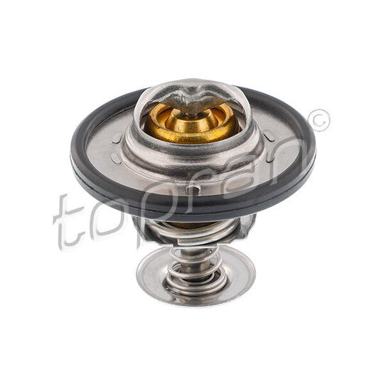 302 141 Thermostat, coolant