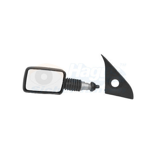 1734803 Outside Mirror