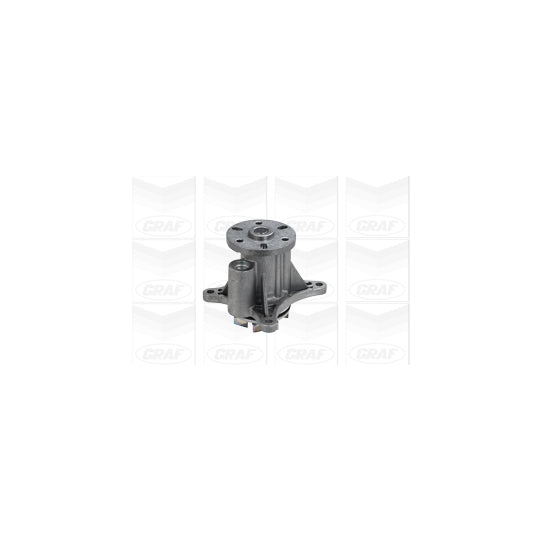 PA1067 Water pump