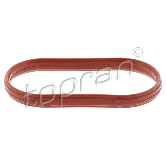 500 825 Gasket, intake manifold