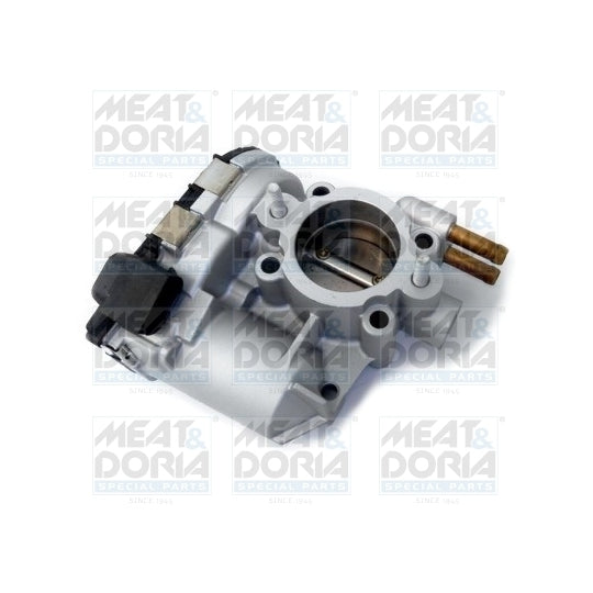 89206R Throttle body