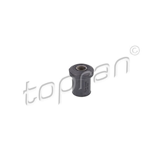 301 534 Bush, leaf spring
