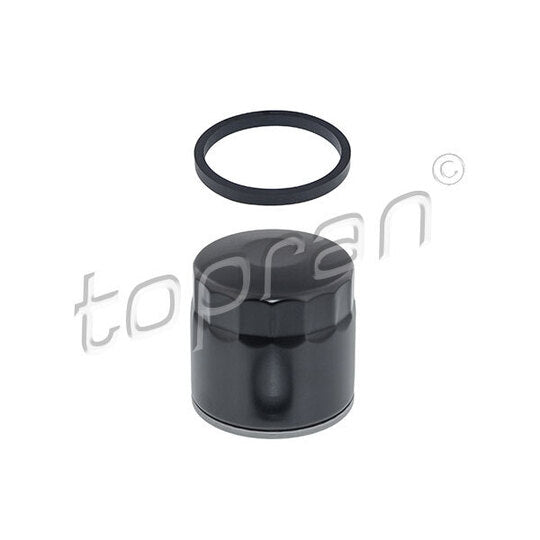 304 787 Oil filter