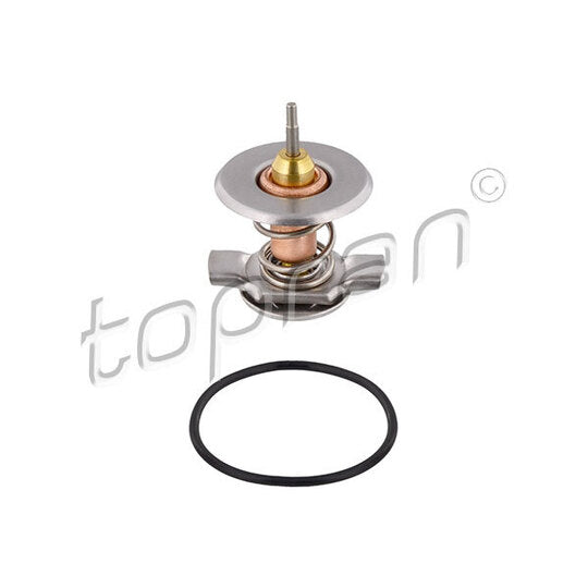 207 129 Thermostat, coolant