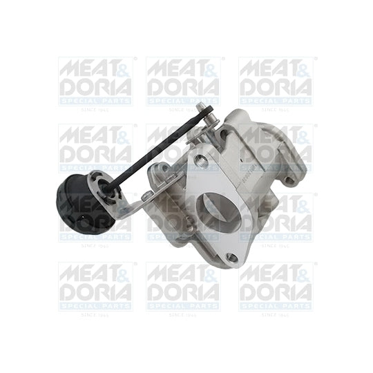 88717 EGR Valve