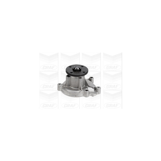 PA978 Water pump