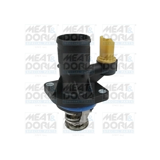 92698 Thermostat, coolant