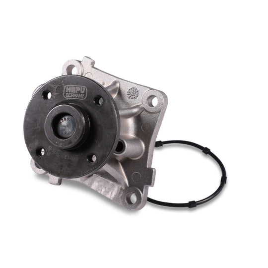 P131 Water pump