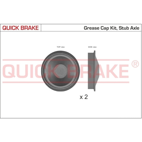 9828K Cap, wheel bearing