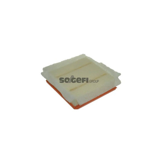 A1239 Air filter