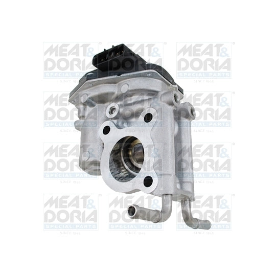 88866 EGR Valve