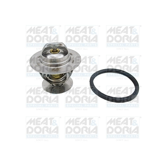 92321 Thermostat, coolant