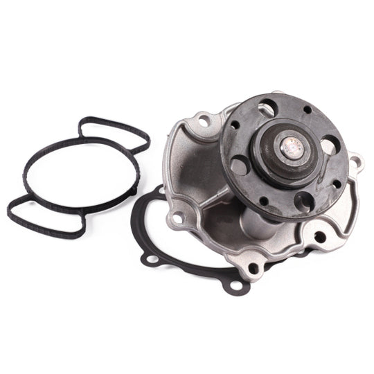 P365 Water pump