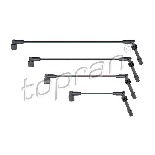 202 531 Ignition Cable Kit