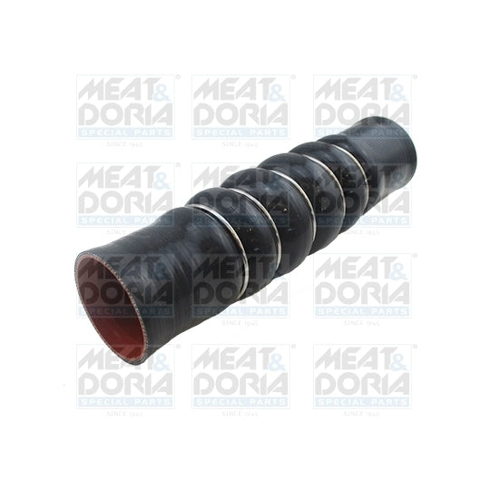 96686 Charger Air Hose