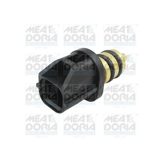 82485 Sensor, fuel temperature