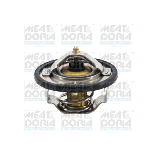 92925 Thermostat, coolant