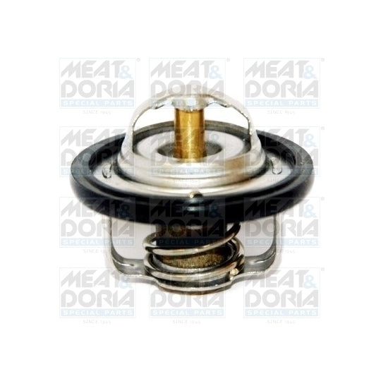 92130 Thermostat, coolant