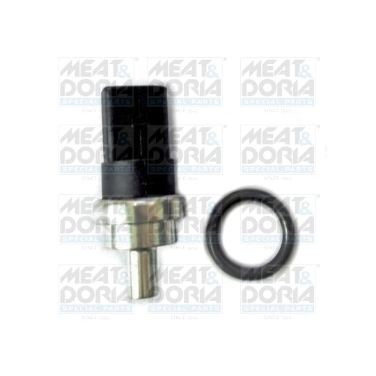 82431 Sensor, fuel temperature