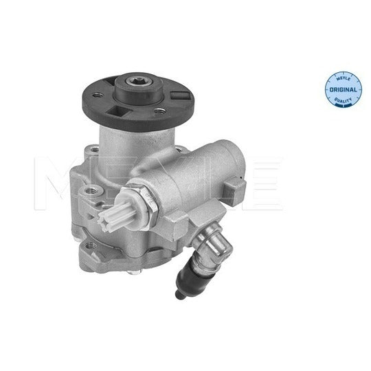 314 631 0031 Hydraulic Pump, steering system