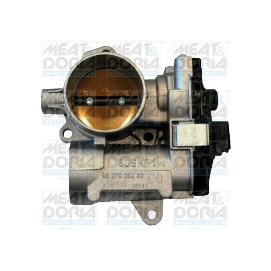 89107 Throttle body