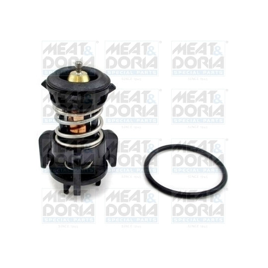 92863 Thermostat, coolant