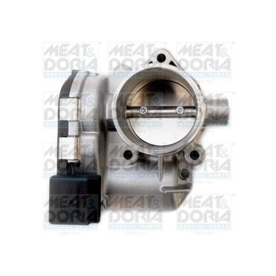 89311 Throttle body