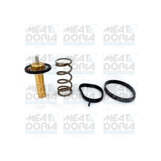92839 Thermostat, coolant