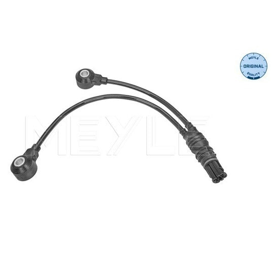 314 811 0000 Knock Sensor