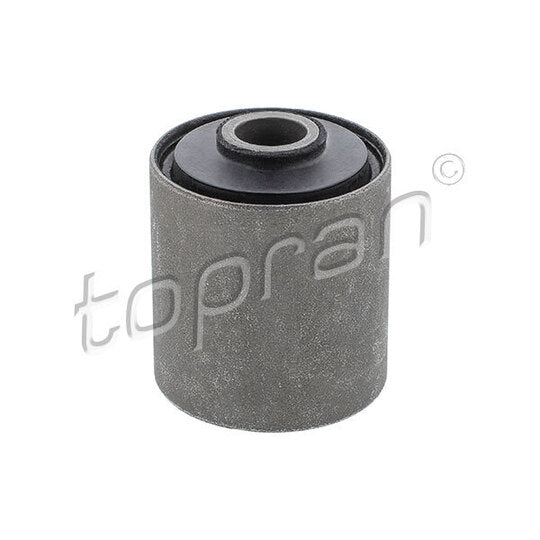 302 754 Bush, leaf spring