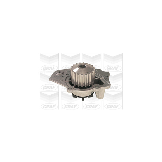 PA256 Water pump