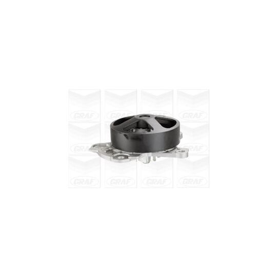 PA1134 Water pump