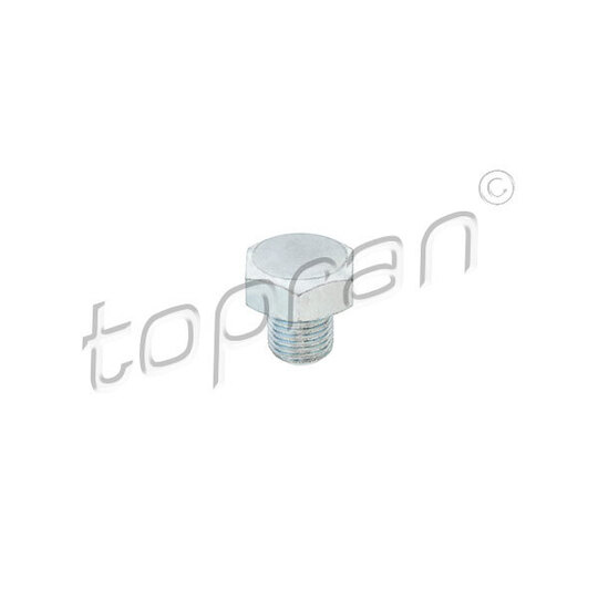 206 554 Sealing Plug, oil sump