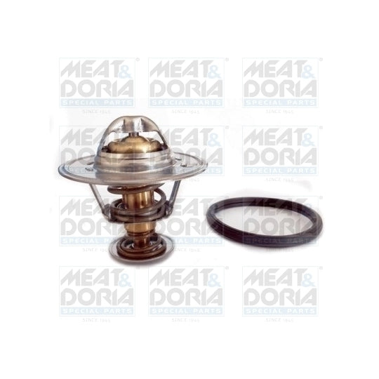 92831 Thermostat, coolant