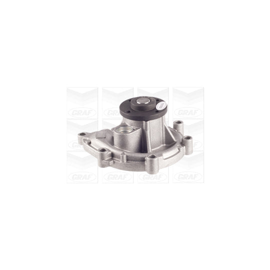 PA1111 Water pump
