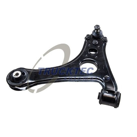02.31.256 Track Control Arm