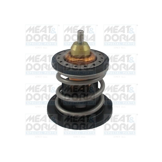 92919 Thermostat, coolant