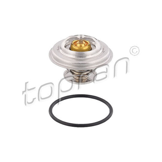 500 546 Thermostat, coolant