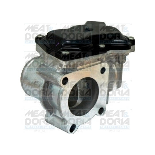 89136 Throttle body