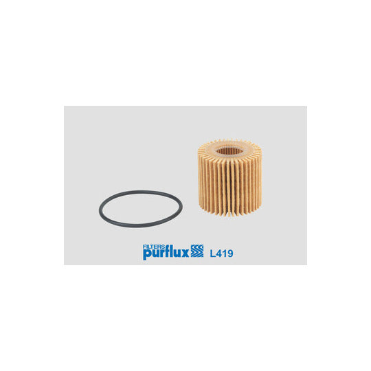 L419 Oil filter