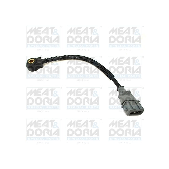 875023 Knock Sensor