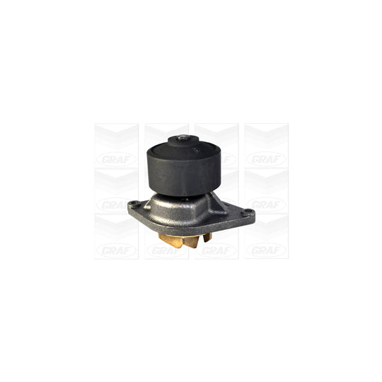 PA1060 Water pump