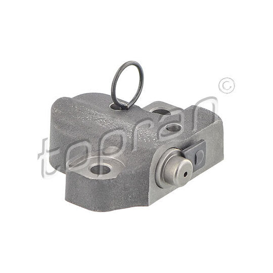 304 755 Tensioner, timing chain