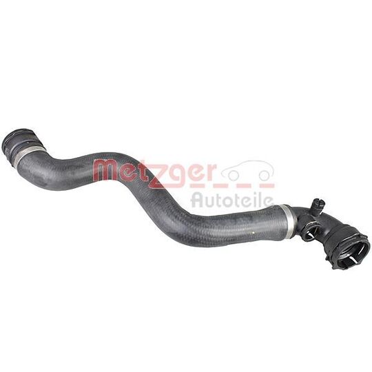 2420638 Radiator Hose