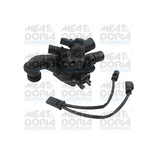 92869 Thermostat, coolant