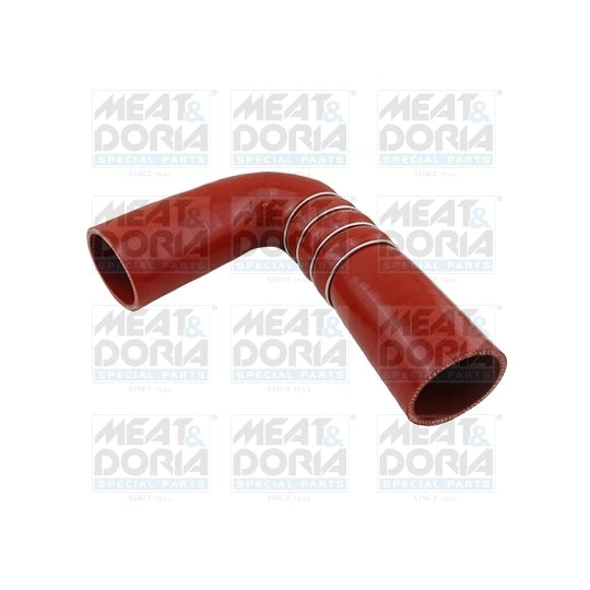 96684 Charger Air Hose