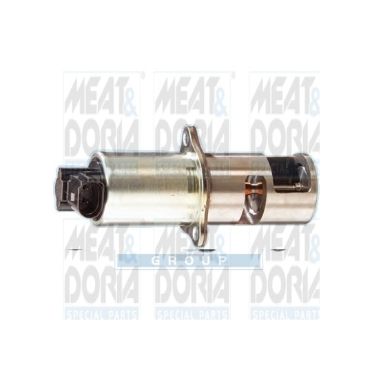 88011R EGR Valve