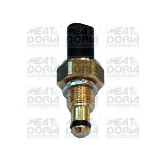 82267 Sensor, fuel temperature