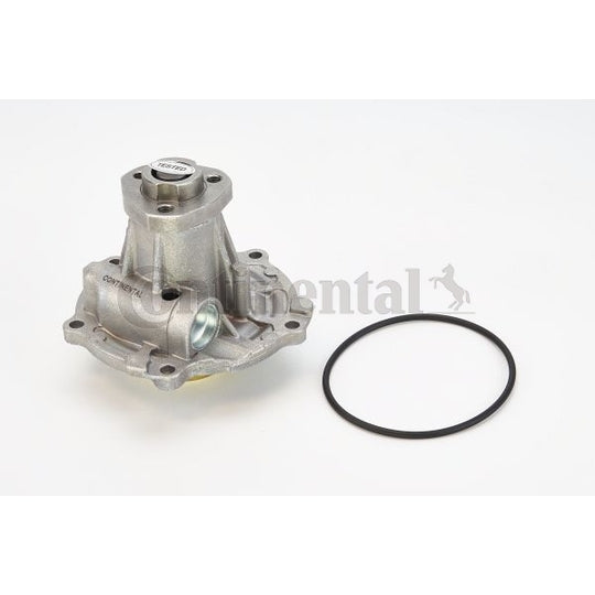 WPS3010 Water pump